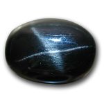 sterndiopsid