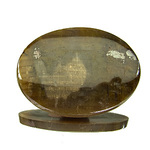 fossilized wood