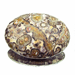 leopardskin jasper