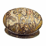 leopardskin jasper