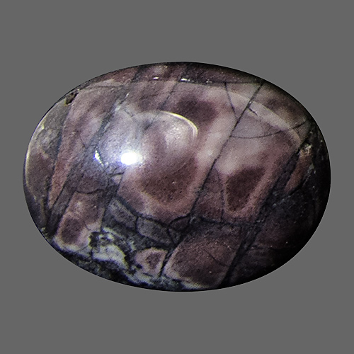 Porzellanjaspis aus Mexiko. 1 Stück. Cabochon Oval, opak