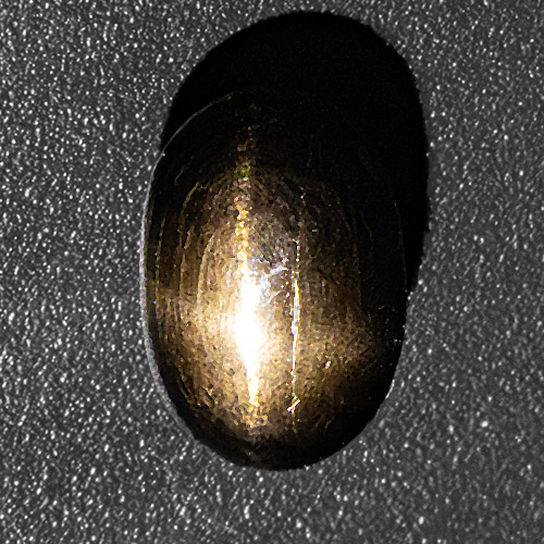 Star Bronzite from India. 2.04 Carat. Cabochon Oval, opaque