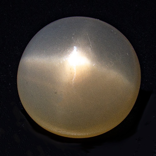 Star Moonstone from India. 23.4 Carat. Very good star, well centered and much sharper than on photo